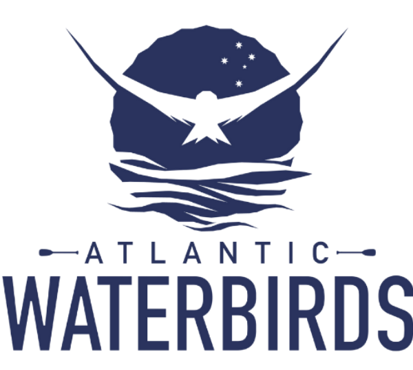 Atlantic Waterbirds